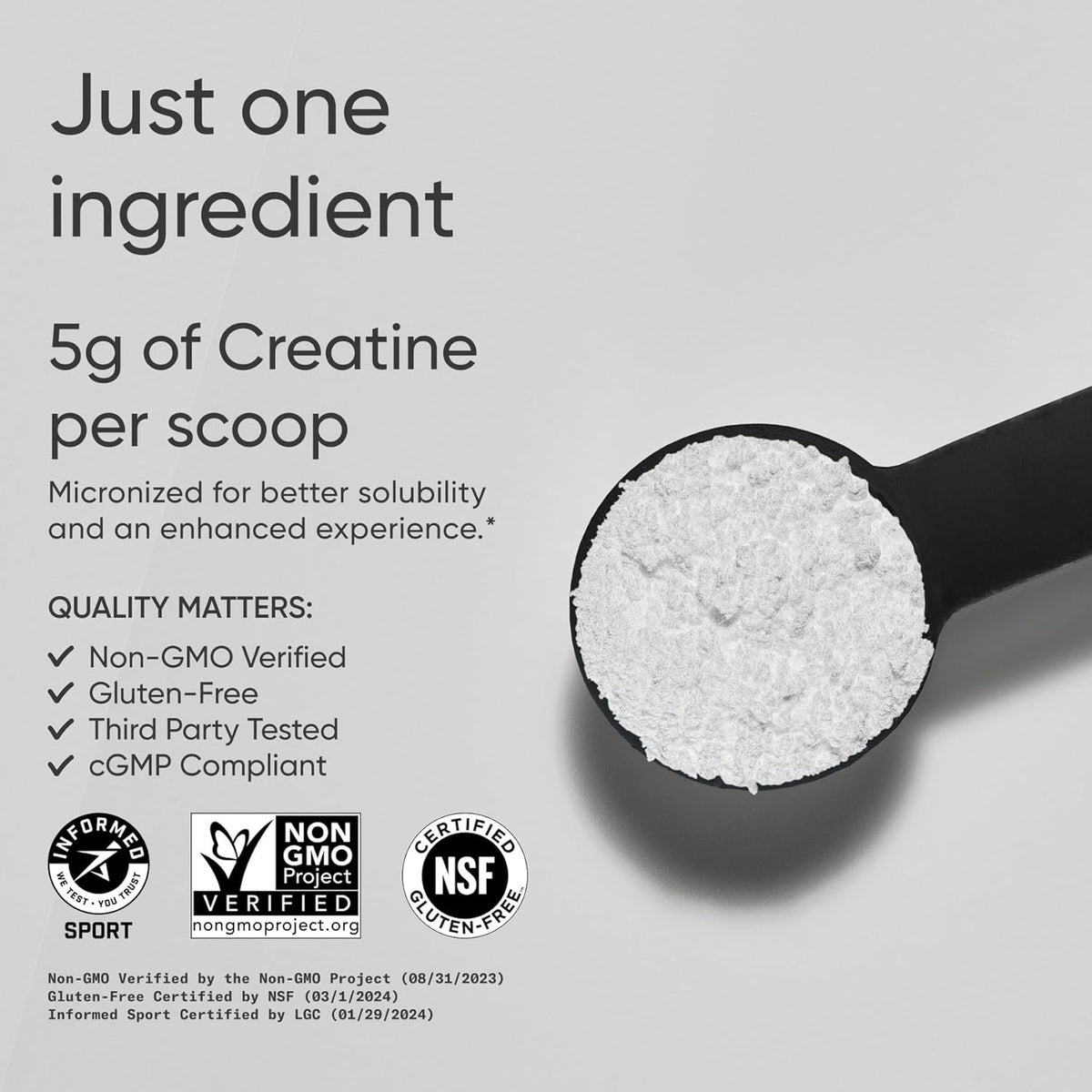 Sports Research® Creatine Monohydrate Powder 5g, Unflavored (100 Servings) | Micronized Creatine Supporting Lean Muscle, Performance & Workout Recovery | Informed Sport, Non-GMO, Gluten-Free