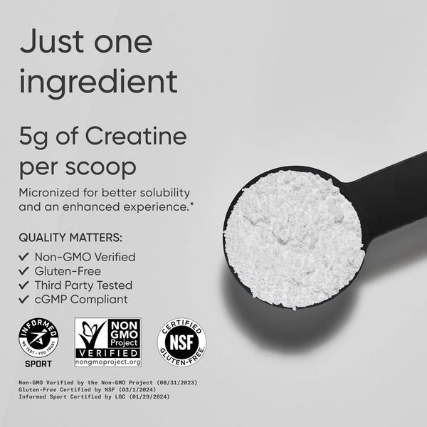 Sports Research® Creatine Monohydrate Powder 5g, Unflavored (100 Servings) | Micronized Creatine Supporting Lean Muscle, Performance & Workout Recovery | Informed Sport, Non-GMO, Gluten-Free