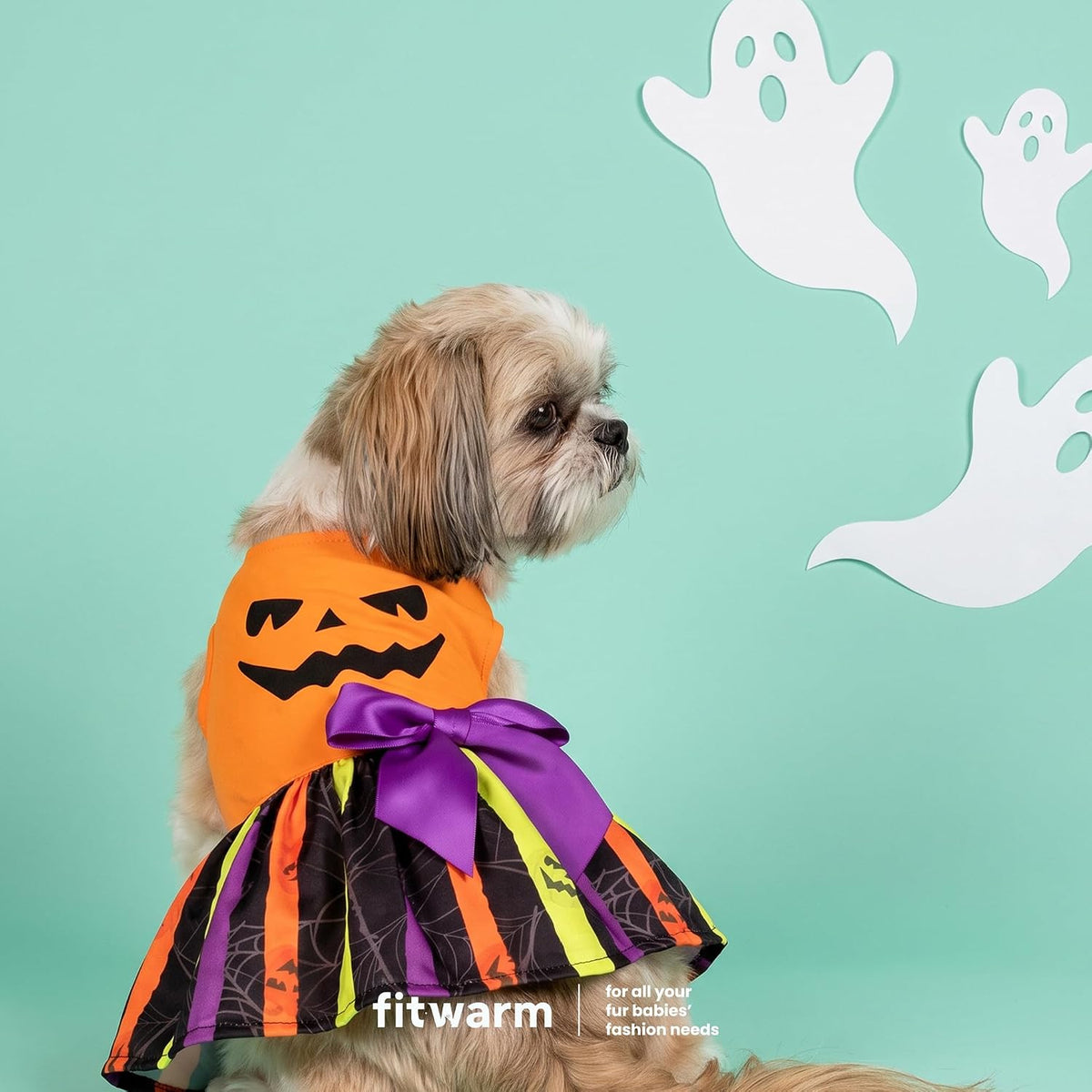Fitwarm Halloween Pumpkin Dog Dress, Funny Dog Halloween Costumes, Doggy Clothes for Small Dogs Girl, Pet Apparel, Orange, Black, Purple, Small