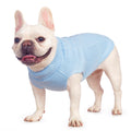 Cat Sweater Stretchy,19 Colors,6 Sizes,Snug Winter (Maple Leaf Red, Medium, Vest)