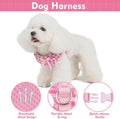 EXPAWLORER Step-in Dog Harness Small Sized Collar and Leash Set