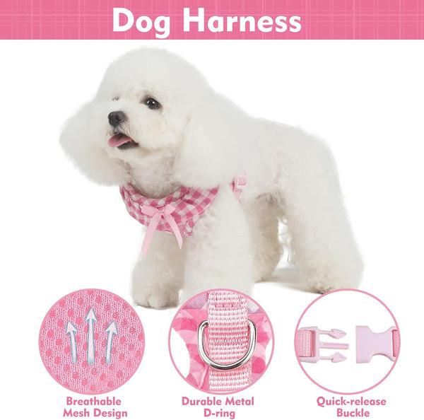 EXPAWLORER Step-in Dog Harness Small Sized Collar and Leash Set