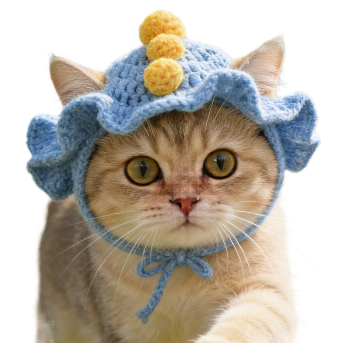 Cute Cat Hats Costume Suitable for 5 to16 lbs - Rabbit Kitten Hat Head Circumference 11" or Less Cat Hats for Cats only Pet Photography Outfits