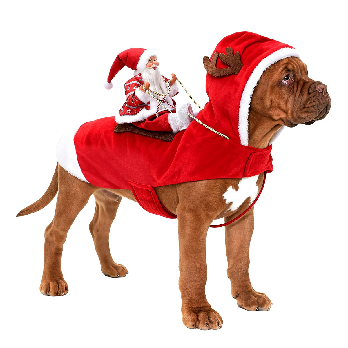 Santa Dog Costume, Dog Christmas Outfit, Riding Pet Costume, Size M