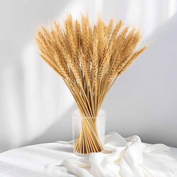 Sukh 100 Stems Dried Wheat Stalks - Boho Fall Decor for Home & Wedding