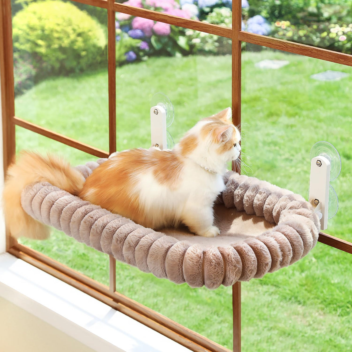Zakkart SnugCloud Foldable Cat Window Perch - Cordless, Ultra Soft Machine Washable Bed with 4-Sided Bolster, Metal Frame - Window Hammock for Large Cats and Kittens (Cream White, Medium)
