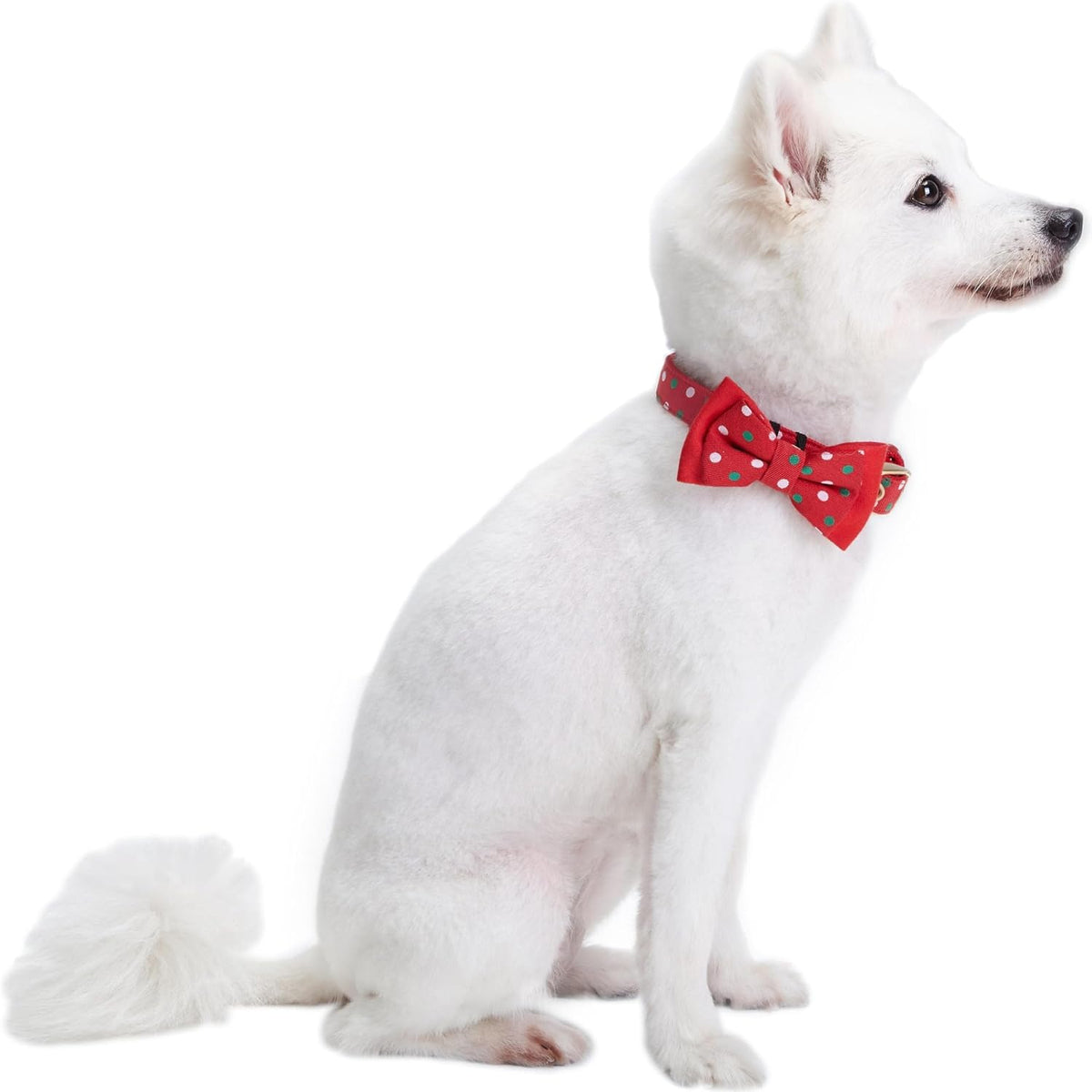 Blueberry Pet Luxurious Christmas Festival Polka Dot Adjustable Dog Collar with Detachable Bowtie, Neck 13-16.5", for Medium Breed