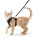 rabbitgoo Cat Harness and Leash Set, Escape Proof Vest, Black | Soft Breathable Mesh, Easy Adjustable Fit, Snap Buckles, Sturdy Clip, Reflective Strips, for Small & Average Cats Walks, Xs