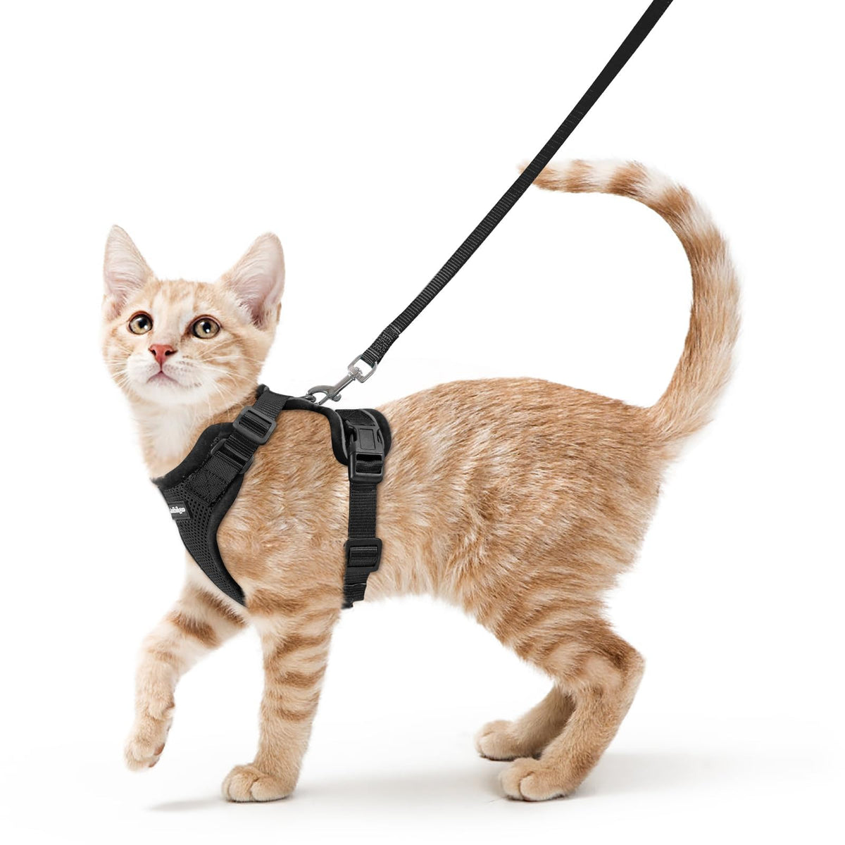 rabbitgoo Cat Harness and Leash Set, Escape Proof Vest, Black | Soft Breathable Mesh, Easy Adjustable Fit, Snap Buckles, Sturdy Clip, Reflective Strips, for Small & Average Cats Walks, Xs