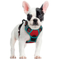 rabbitgoo Dog Harness No Pull with 2 Leash Clips, Adjustable Soft Padded, Reflective Oxford No Choke Pet Vest with Easy Control Handle for Medium Sized Dogs, Black, M