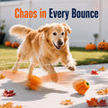 Halloween Dog Toys for Large Dogs, Tough Pumpkin Toy for Aggressive Chewers