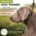 Fida Durable Slip Lead, 6 FT x 1/2" Heavy Duty Loop Leash, Comfortable Strong Rope for Large, Medium Dogs, No Pull Pet Training with Highly Reflective, Green