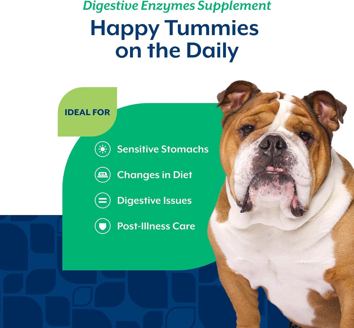 NaturVet – Digestive Enzymes - Plus Probiotics & Prebiotics – Helps Support Diet Change & A Healthy Digestive Tract – for Dogs & Cats (Soft Chews, 120 Count)