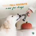 Benebone Wishbone Chew Toy for Aggressive Chewers, Pumpkin Spice, Small