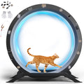 GTPLAYER Cat Wheels, 40" Diameter, Large Cat Exercise Wheel for Indoor Cats cat Treadmill Metal with Detachable Carpet & Teaser/Stickers, Ultra-Quiet Scroll Wheel with Latch, Safe and Stable Grey