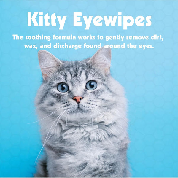 Petkin Kitty Eye Wipes, 40 Moist Wipes - Gentle Eye Cleaning Wipes Remove Dirt, Discharge, & Tear Stains - Safe, Convenient, Easy to Use Pet Wipes for Cats & Kittens - Ideal for Home or Travel