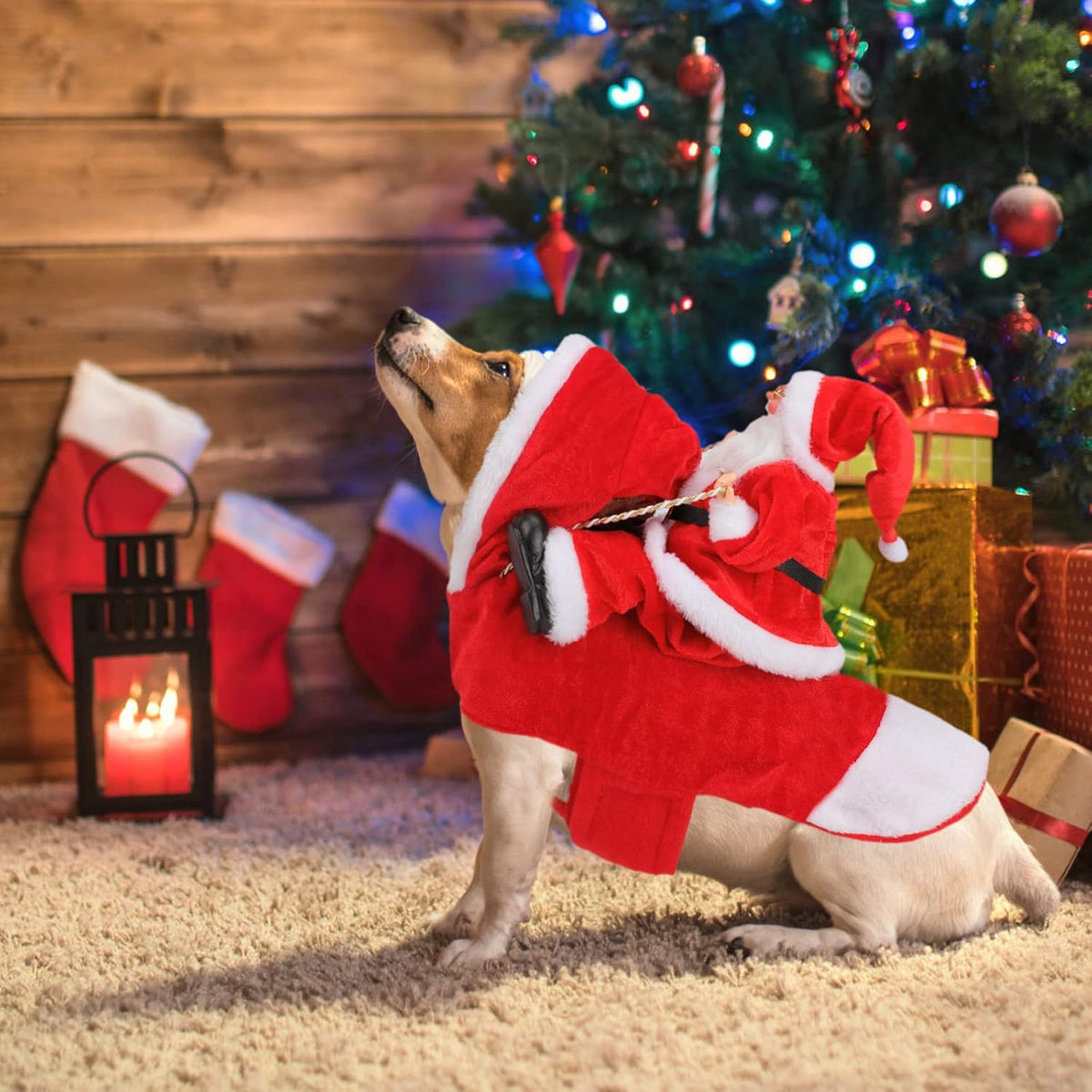 Santa Dog Costume, Dog Christmas Outfit, Riding Pet Costume, Size M