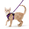 rabbitgoo Cat Harness and Leash Set, Escape Proof Vest, Black | Soft Breathable Mesh, Easy Adjustable Fit, Snap Buckles, Sturdy Clip, Reflective Strips, for Medium to Large Cats Walks, M