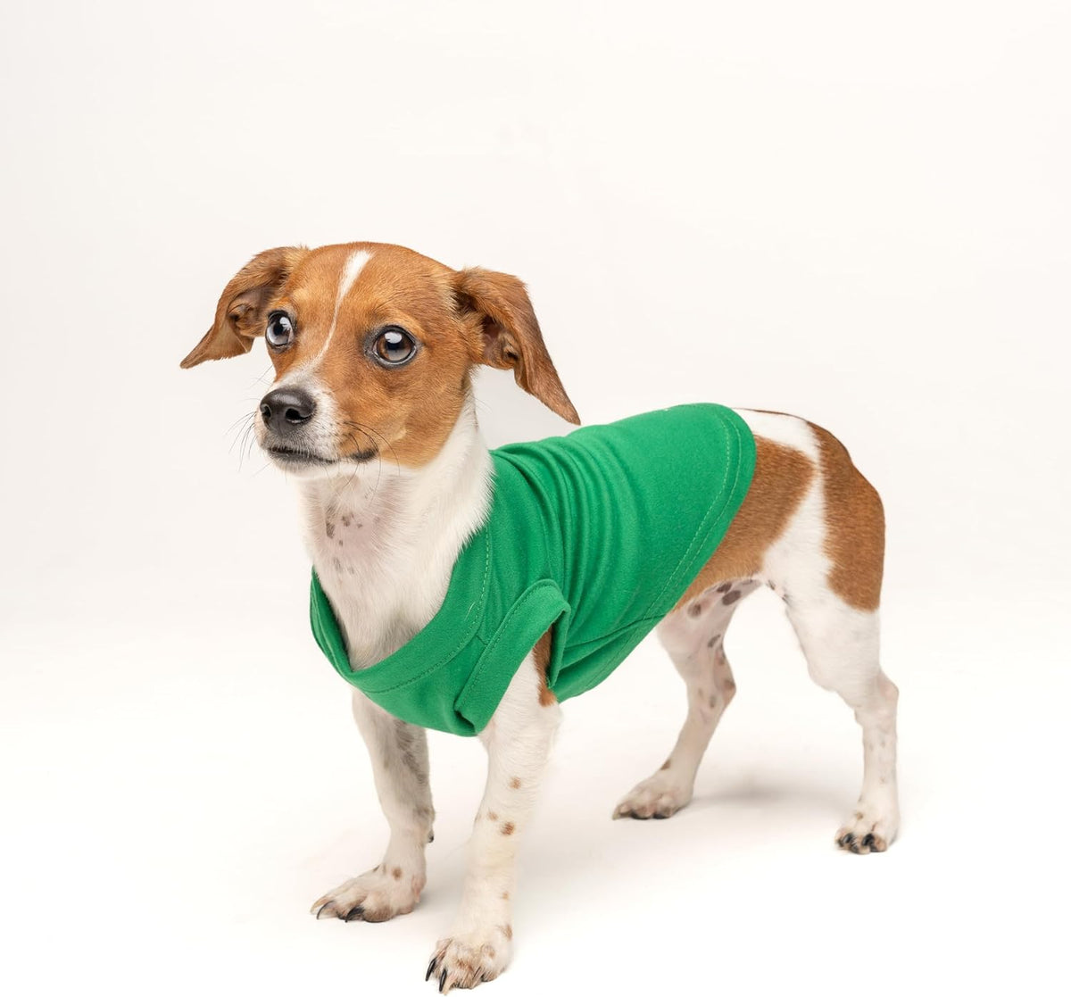 My First Christmas Dog Tee Shirt | Sleeveless Breeds | Christmas | Holiday Season | Winter Wonderland | Gift |Green, X-Small 145