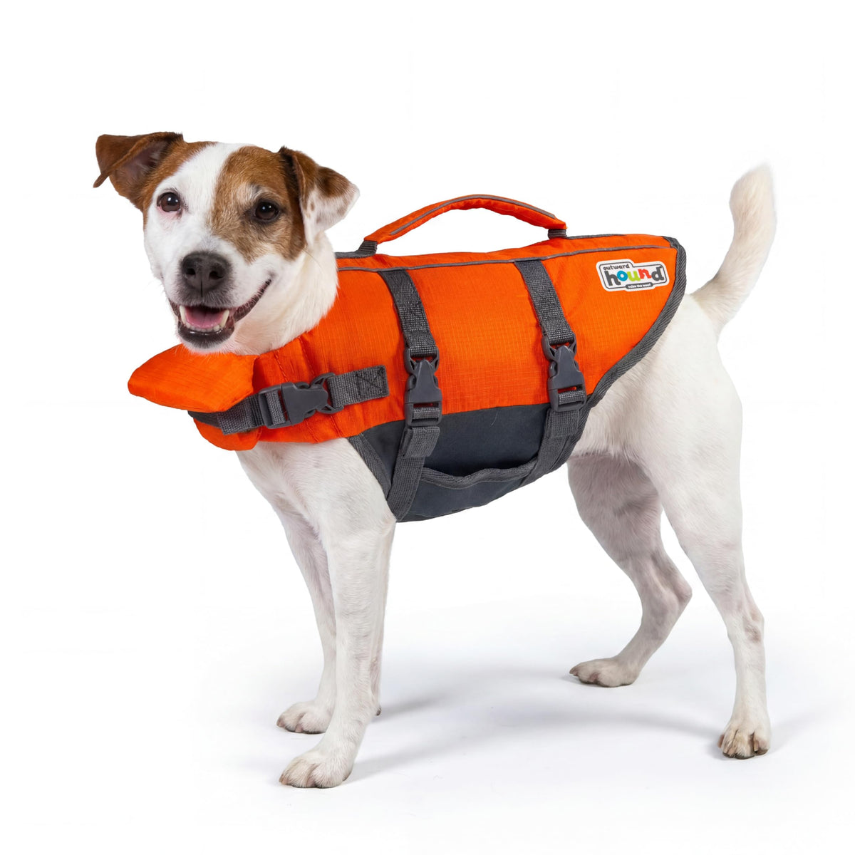 Outward Hound Granby Splash Orange Dog Life Jacket, Medium