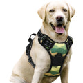 rabbitgoo Dog Harness No Pull with 2 Leash Clips, Adjustable Soft Padded, Reflective Oxford No Choke Pet Vest with Easy Control Handle for Medium Sized Dogs, Black, M