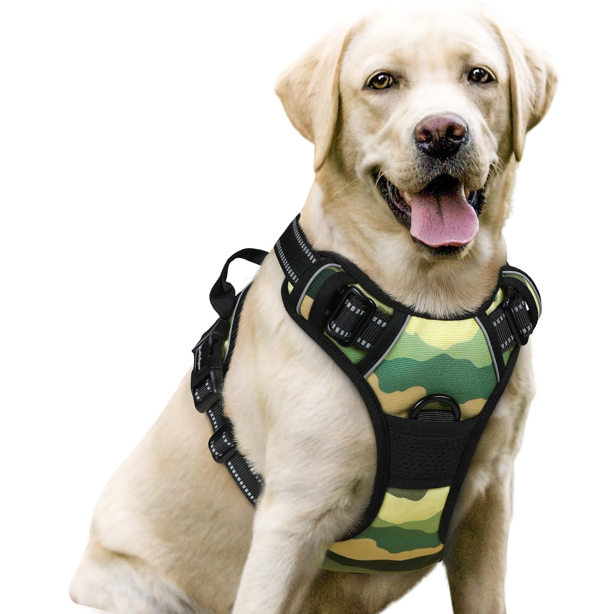 rabbitgoo Dog Harness No Pull with 2 Leash Clips, Adjustable Soft Padded, Reflective Oxford No Choke Pet Vest with Easy Control Handle for Medium Sized Dogs, Black, M