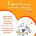 Nylabone Original Bone Power Chew Toys for Dogs, Durable & Tough Dog Toys for Aggressive Chewers, Long Lasting Chicken, Bacon, and Peanut Butter Flavor, Small - Up to 25 lbs, 1 Count