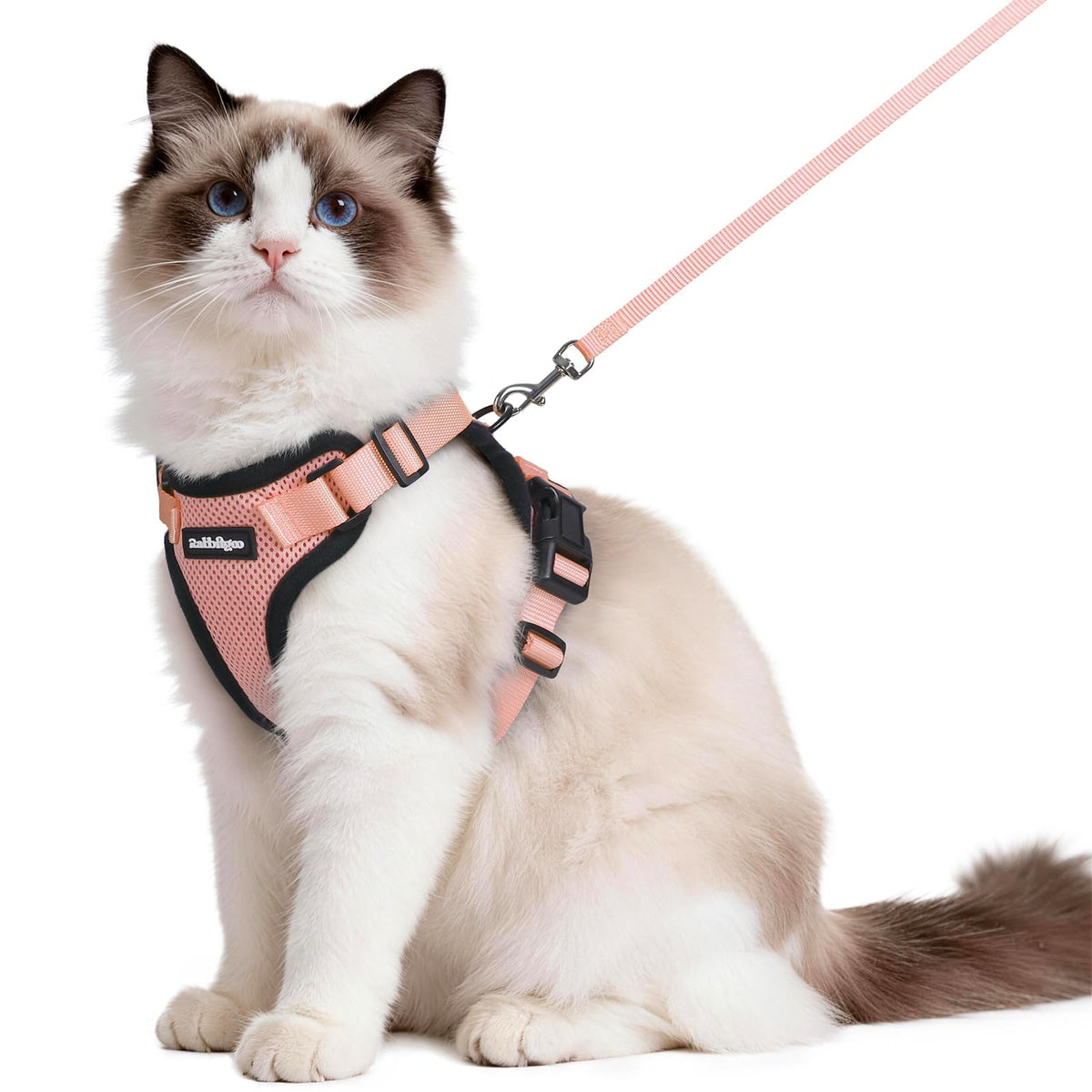 rabbitgoo Cat Harness and Leash Set, Escape Proof Vest, Black | Soft Breathable Mesh, Easy Adjustable Fit, Snap Buckles, Sturdy Clip, Reflective Strips, for Small & Average Cats Walks, Xs