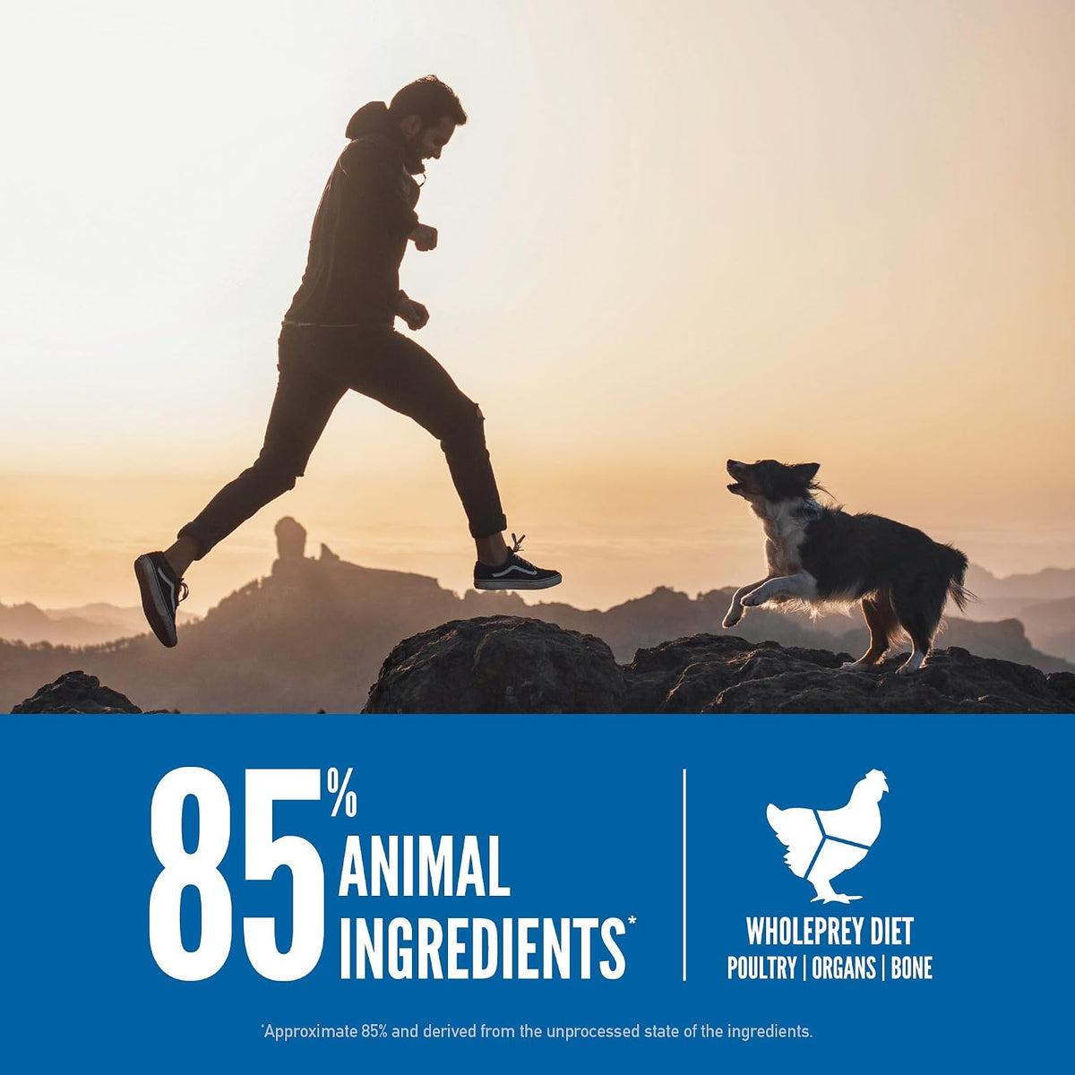 ORIJEN Grain Free WHOLEPREY Dry Dog Food Original Recipe 23.5lb. Bag