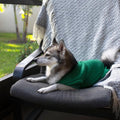Midlee Green Dog Pajamas (Medium)