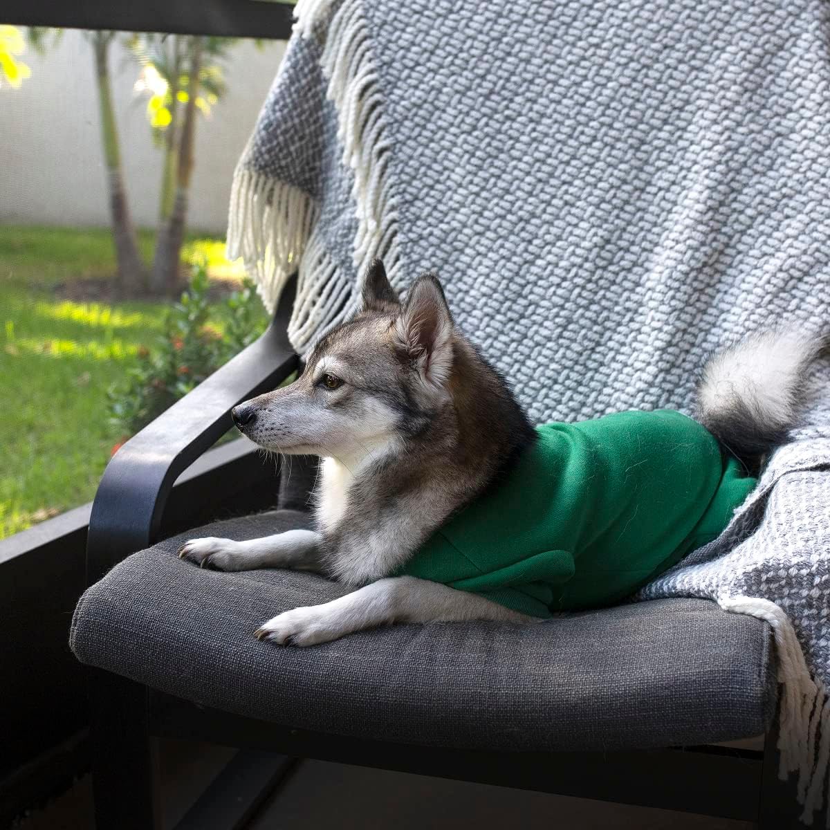 Midlee Green Dog Pajamas (Medium)