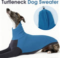 DENTRUN Greyhound Sweatshirt, Fleece Turtleneck Jumper for Sighthounds