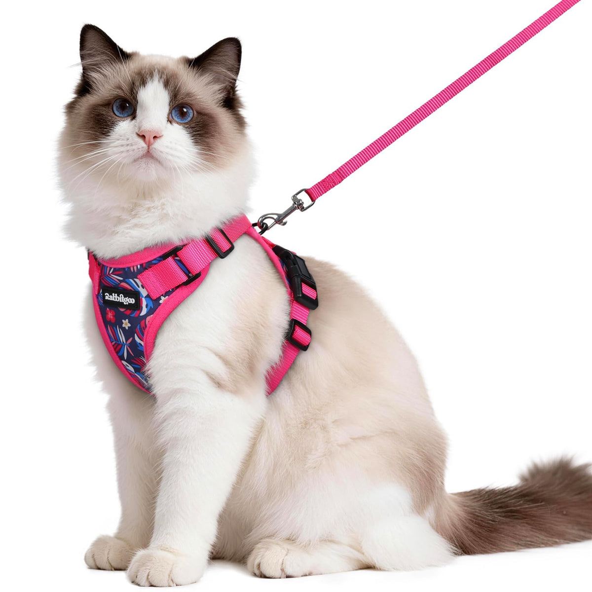rabbitgoo Cat Harness and Leash Set, Escape Proof Vest, Black | Soft Breathable Mesh, Easy Adjustable Fit, Snap Buckles, Sturdy Clip, Reflective Strips, for Medium to Large Cats Walks, M