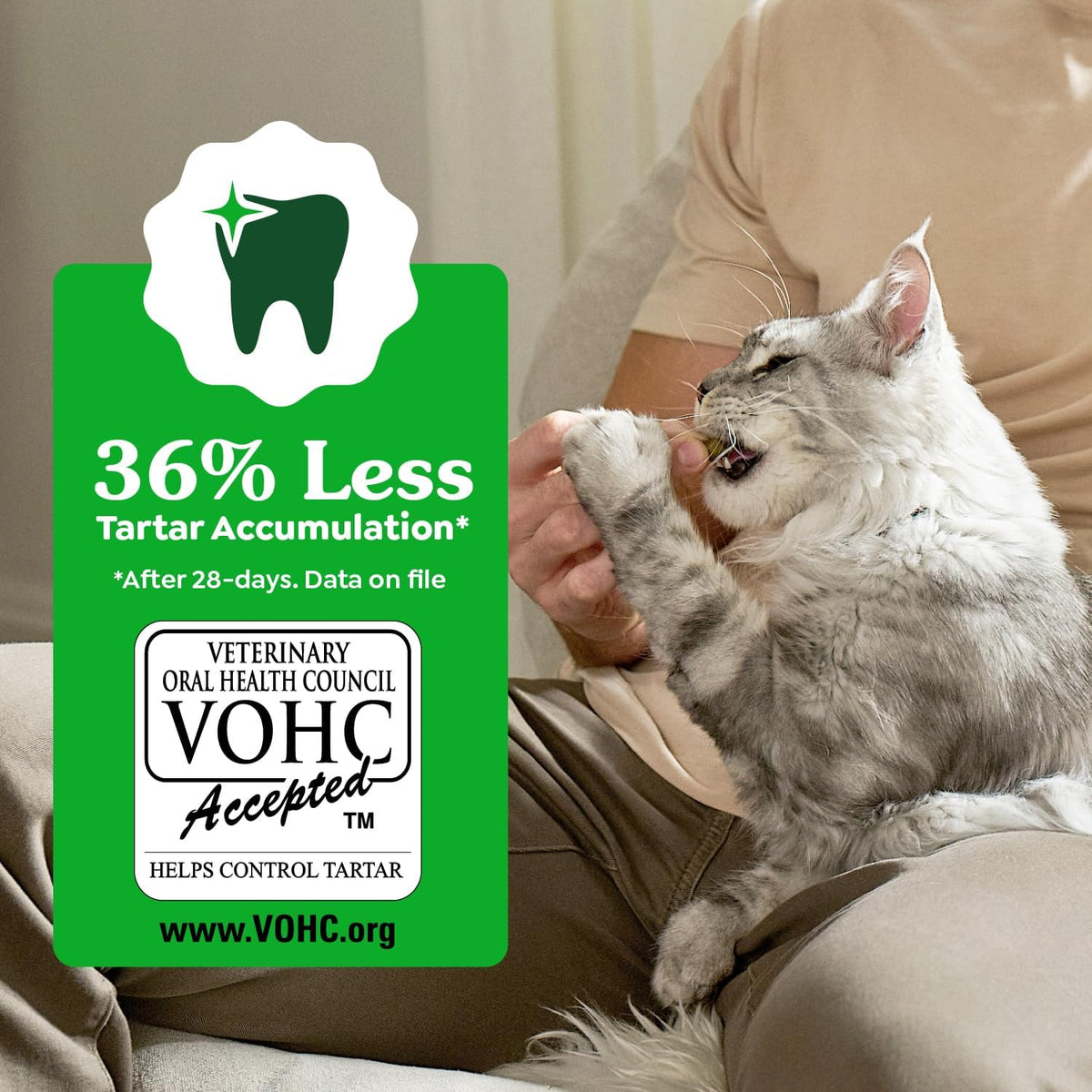 Greenies Cat Treats, Feline Veterinarian-Recommended Adult Natural Dental Cat Treats, Oven Roasted Chicken Flavor, 4.6 oz. Pouch