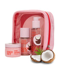 Victoria's Secret PINK 3 piece Vanilla Gift set