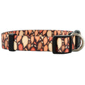 Native Pup Halloween Dog Collar- Spooky Fall Themed Horror Costume Collars- Skull, Pumpkin, Ghost, Bat, Witch, Candy Corn, Spider- Adjustable for Small, Medium, Large Breeds (Small, Big Pumpkins)