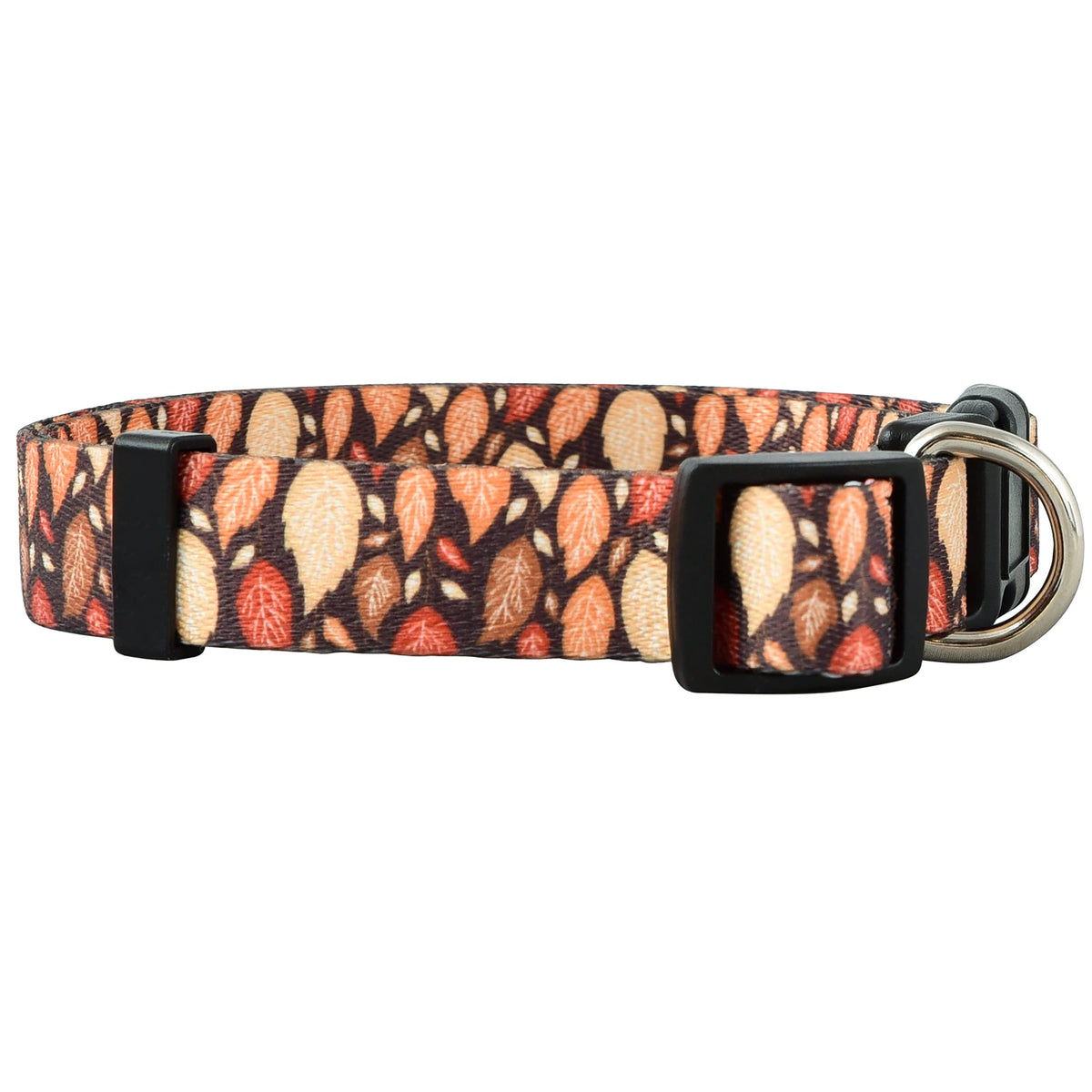 Native Pup Halloween Dog Collar- Spooky Fall Themed Horror Costume Collars- Skull, Pumpkin, Ghost, Bat, Witch, Candy Corn, Spider- Adjustable for Small, Medium, Large Breeds (Small, Big Pumpkins)
