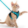 rabbitgoo Cat Harness and Leash Set, Escape Proof Vest, Black | Soft Breathable Mesh, Easy Adjustable Fit, Snap Buckles, Sturdy Clip, Reflective Strips, for Medium to Large Cats Walks, M