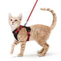 rabbitgoo Cat Harness and Leash Set, Escape Proof Vest, Black | Soft Breathable Mesh, Easy Adjustable Fit, Snap Buckles, Sturdy Clip, Reflective Strips, for Small & Average Cats Walks, Xs