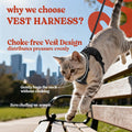 rabbitgoo Cat Harness and Leash Set, Escape Proof Vest, Black | Soft Breathable Mesh, Easy Adjustable Fit, Snap Buckles, Sturdy Clip, Reflective Strips, for Small & Average Cats Walks, Xs