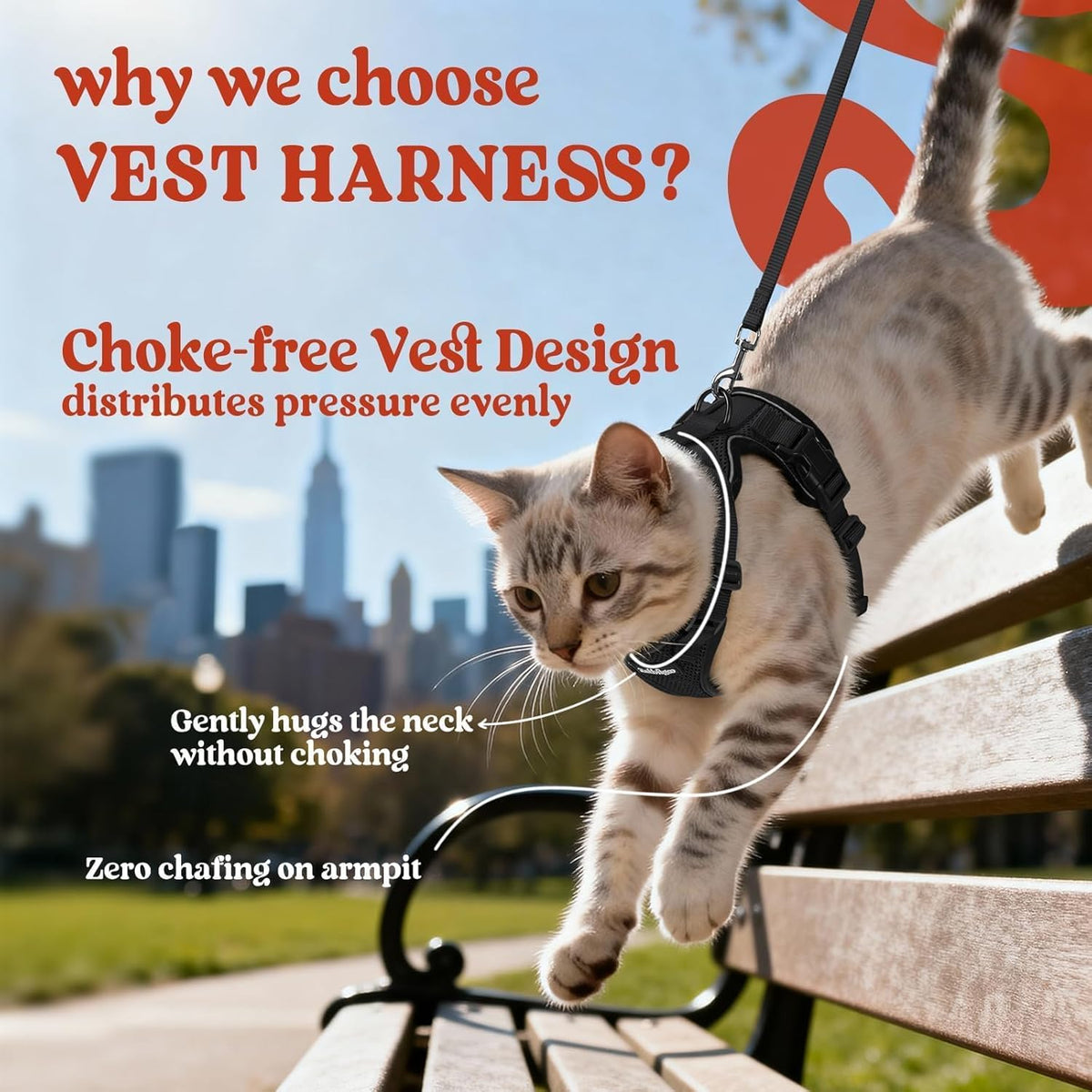 rabbitgoo Cat Harness and Leash Set, Escape Proof Vest, Black | Soft Breathable Mesh, Easy Adjustable Fit, Snap Buckles, Sturdy Clip, Reflective Strips, for Small & Average Cats Walks, Xs
