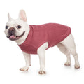 Cat Sweater Stretchy,19 Colors,6 Sizes,Snug Winter (Maple Leaf Red, Medium, Vest)
