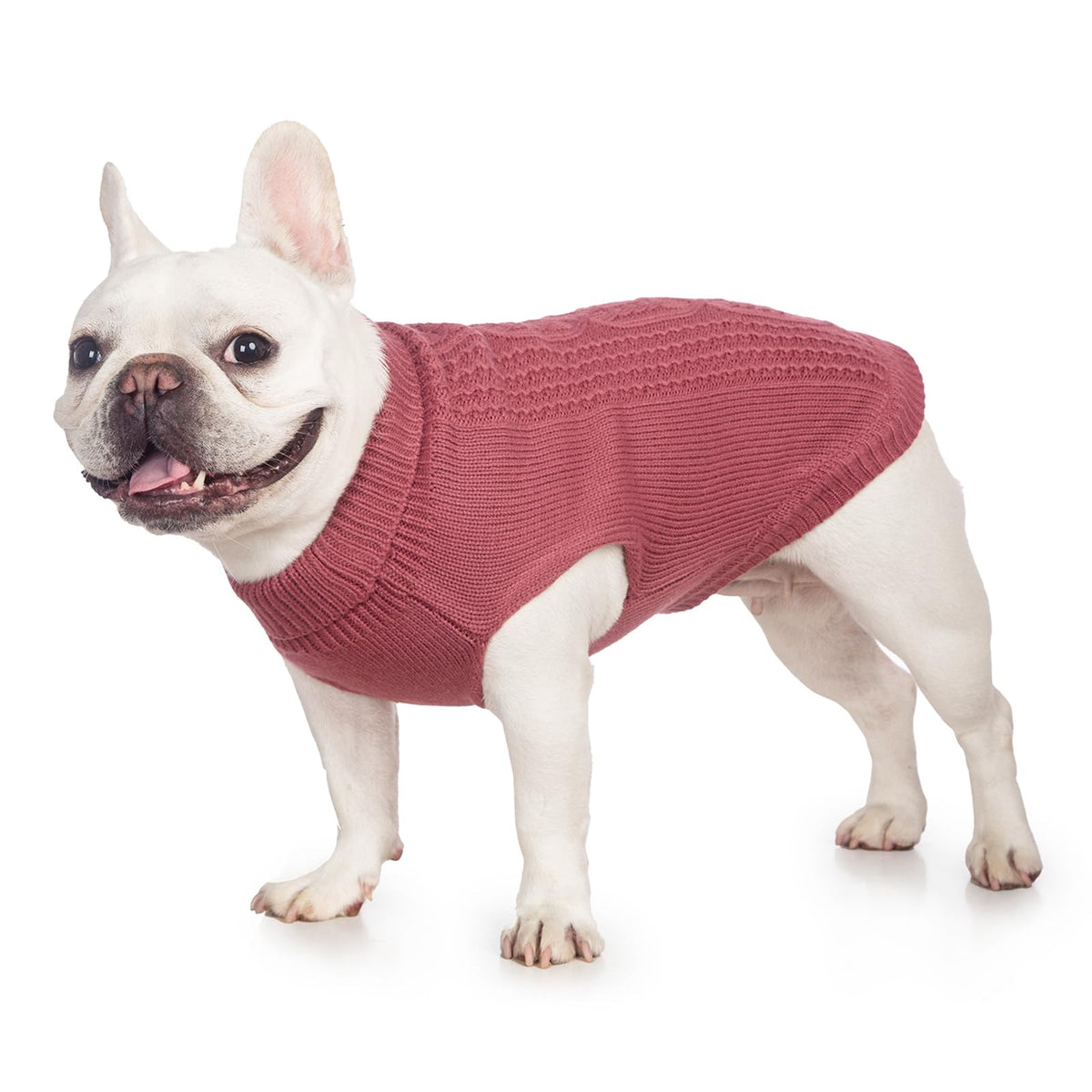 Cat Sweater Stretchy,19 Colors,6 Sizes,Snug Winter (Maple Leaf Red, Medium, Vest)