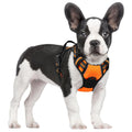 rabbitgoo Dog Harness No Pull with 2 Leash Clips, Adjustable Soft Padded, Reflective Oxford No Choke Pet Vest with Easy Control Handle for Large Dogs, Black, L