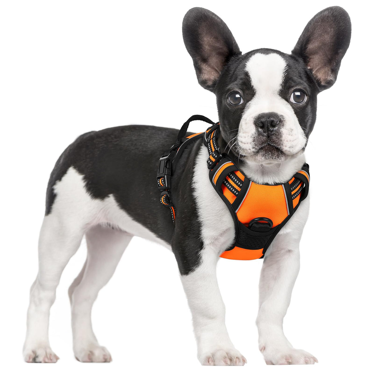 rabbitgoo Dog Harness No Pull with 2 Leash Clips, Adjustable Soft Padded, Reflective Oxford No Choke Pet Vest with Easy Control Handle for Large Dogs, Black, L