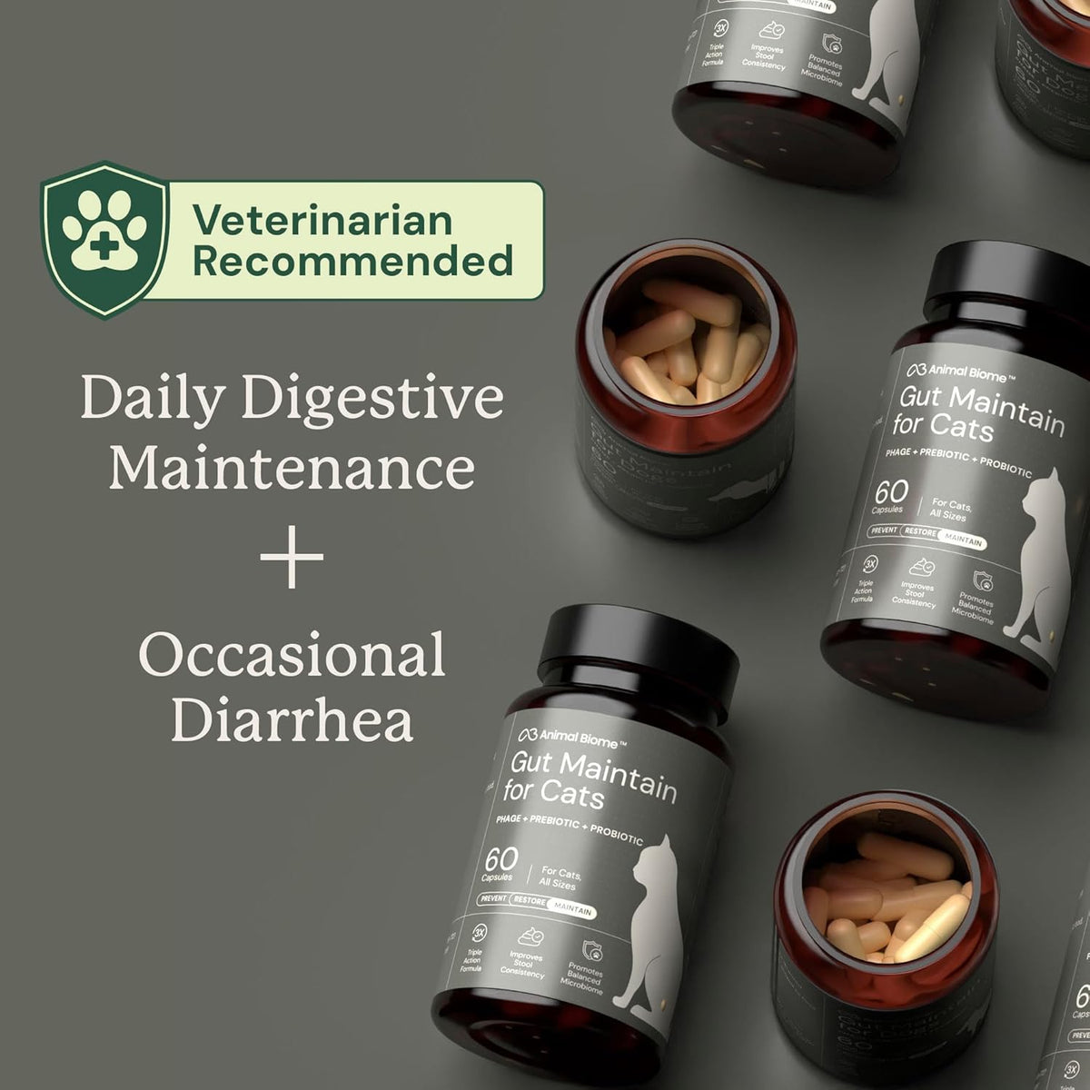 AnimalBiome NEW Probiotics for Cats with S Boulardii (30 Capsules) KittyBiome - Gut Maintain Triple-Action Phage, Prebiotics & Probiotic Cat Supplements for Digestive Health, Open for Easy Food Topper