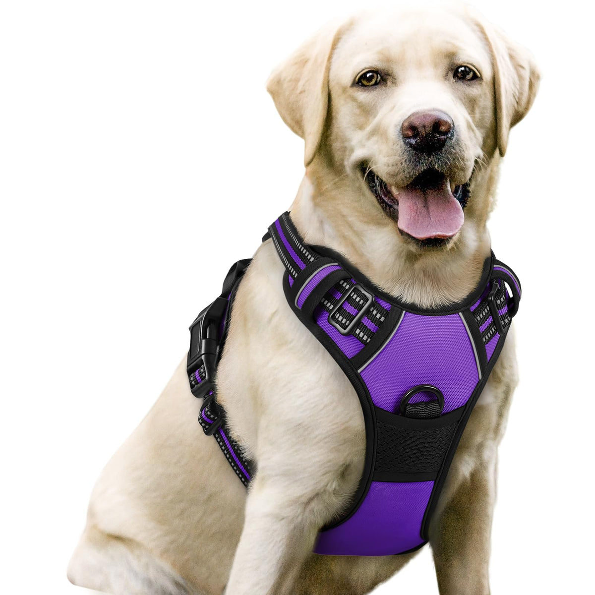 rabbitgoo Dog Harness No Pull with 2 Leash Clips, Adjustable Soft Padded, Reflective Oxford No Choke Pet Vest with Easy Control Handle for Medium Sized Dogs, Black, M