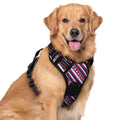 rabbitgoo Dog Harness No Pull with 2 Leash Clips, Adjustable Soft Padded, Reflective Oxford No Choke Pet Vest with Easy Control Handle for Large Dogs, Black, L