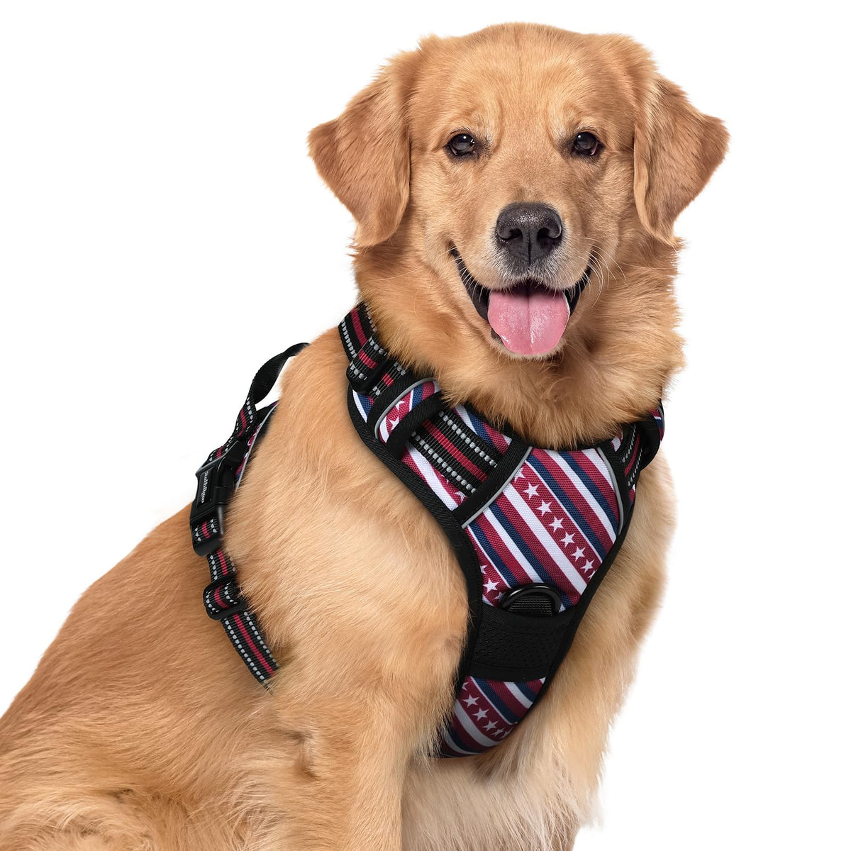 rabbitgoo Dog Harness No Pull with 2 Leash Clips, Adjustable Soft Padded, Reflective Oxford No Choke Pet Vest with Easy Control Handle for Large Dogs, Black, L