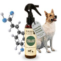 PAWFUME Dog Perfume Spray for Grooming, Blue Ribbon, 1-Pack – Keep Your Pup Fresh All Day – Probiotic, Alcohol-Free, Detangling & Moisturizing – Salon-Quality Dog Spray Deodorizer Perfume